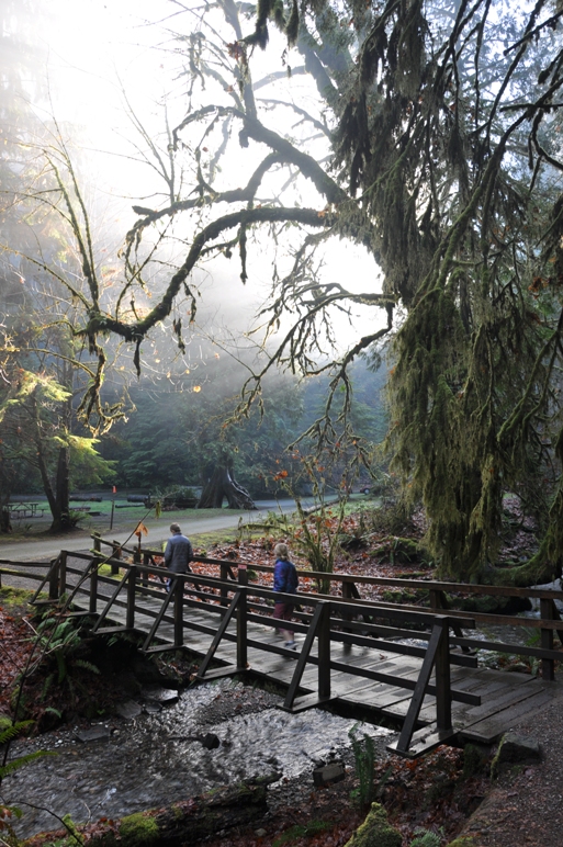 Twanoh  State Park            