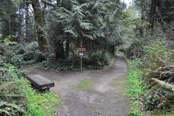 Loop Trail