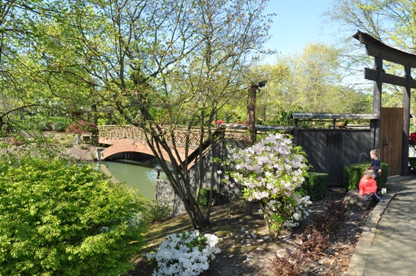 Japanese Garden