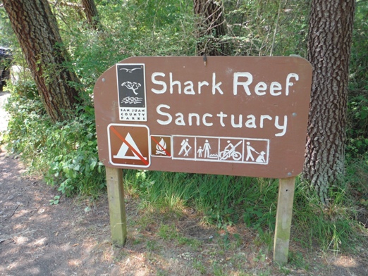 shark reef sanctuary