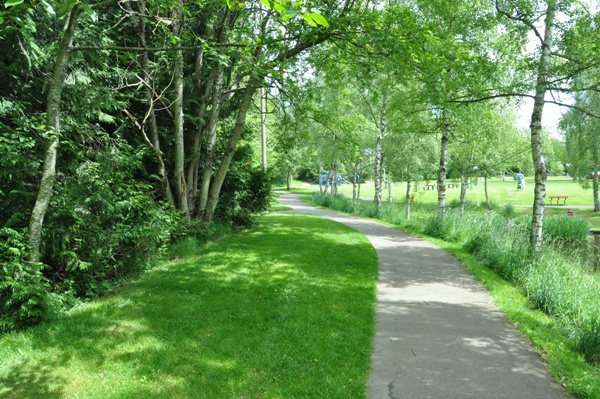 meadowdale path