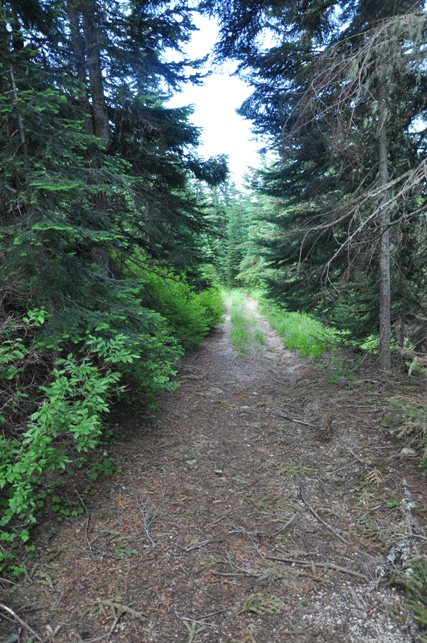 french butte road