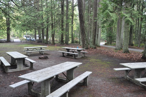 picnic area