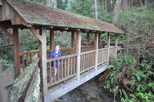 trail bridge