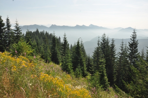 Sawtooth Range