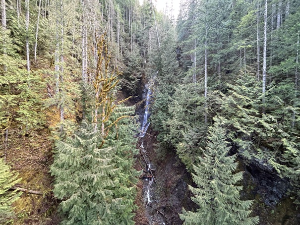 Boetzke Creek Falls 