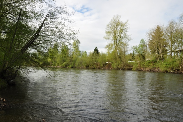 Puyallup River