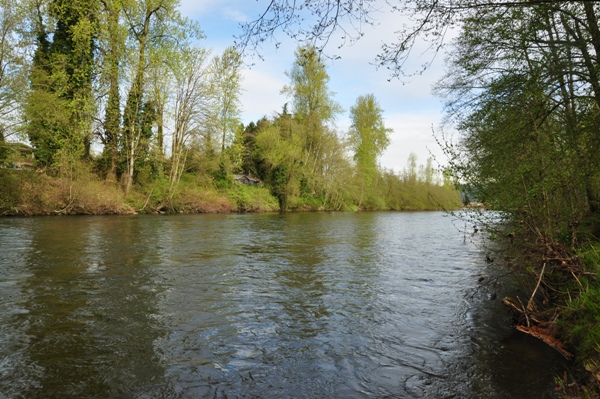 Puyallup River