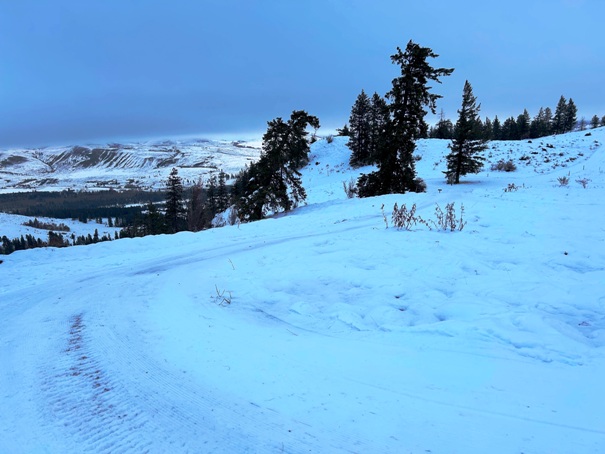 view ridge ski