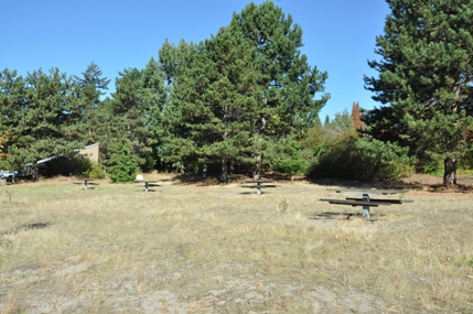 picnic area