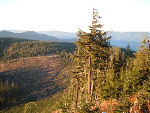 Haller Pass washington