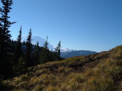 Mount Rainier from the trail