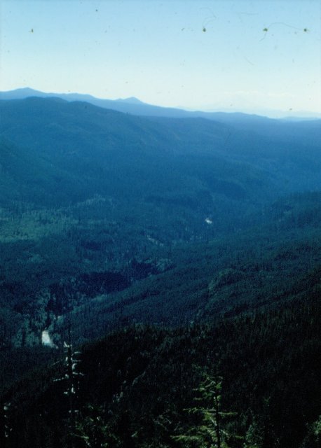 Lewis River Valley 