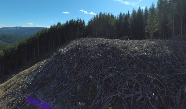 logging landing