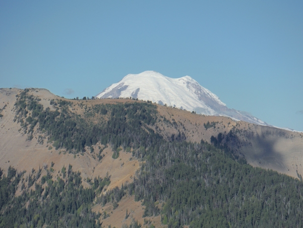 Mount Rainier