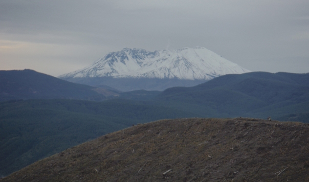 Mount St. Helens 