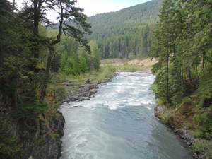 Elwha Bridge