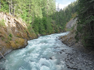 Elwha Bridge