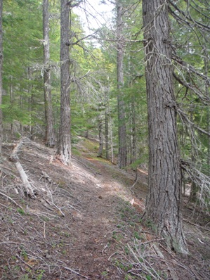 Long Ridge Trail