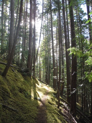 Long Ridge Trail