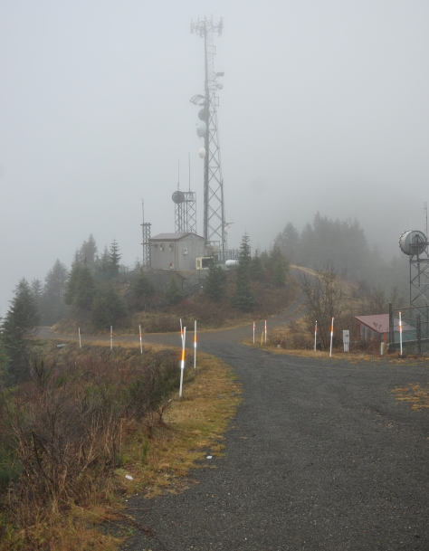 ellis lookout site