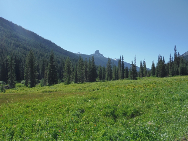 Tucquala Meadows