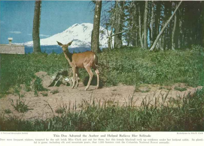 flattop mountain