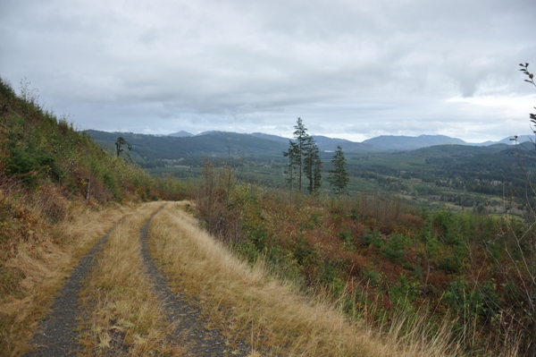 gunderson mountain road
