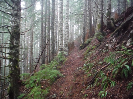 higley peak trail