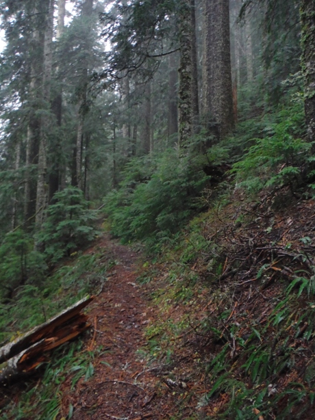 higley peak trail