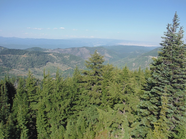 Lookout Mountain 