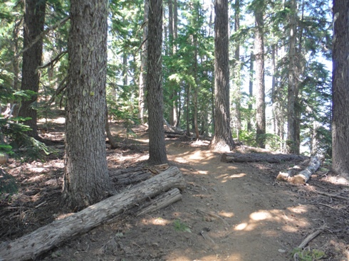 forest hike