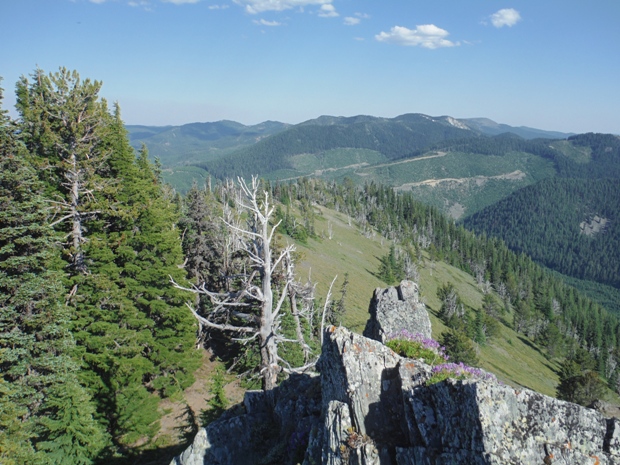 lookout mountain