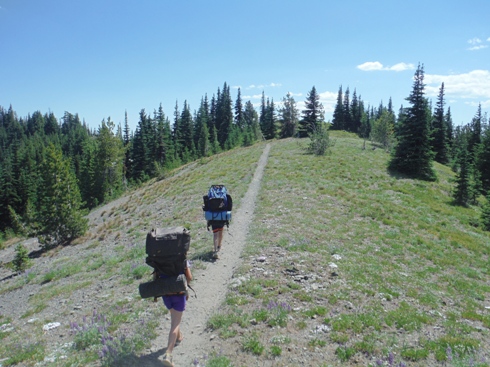 meadow hike