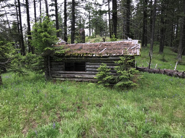 lynx creek cabin