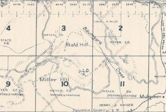 Metsker Map