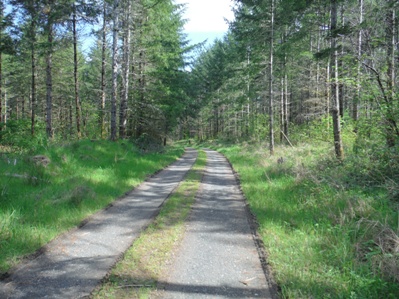miller hill road