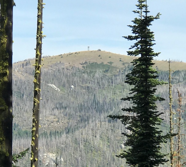 South Baldy Lookout 