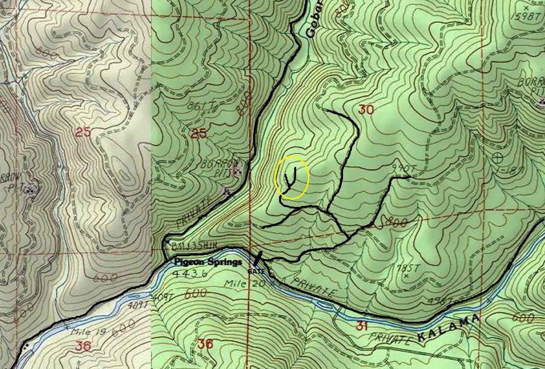 pigeon springs topo map