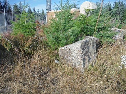 Signal Peak Lookout 