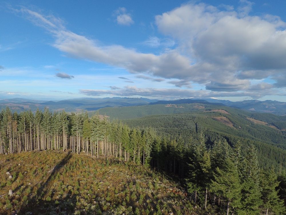 Signal Peak view