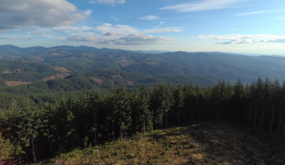 Signal Peak view