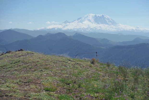 Mt. Rainier