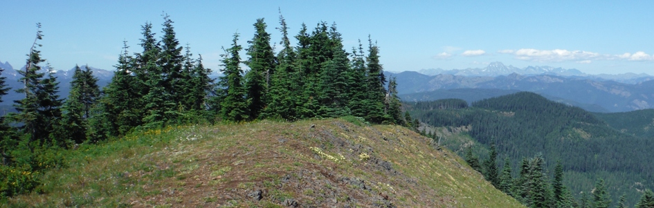 snowshoe butte