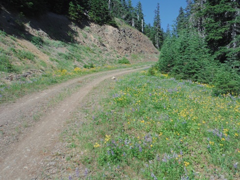 snowshoe butte