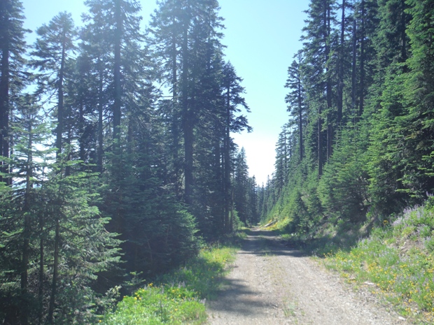 washington cascades