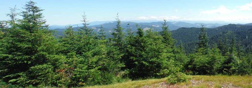 summit guard station