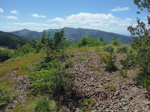 fire lookout