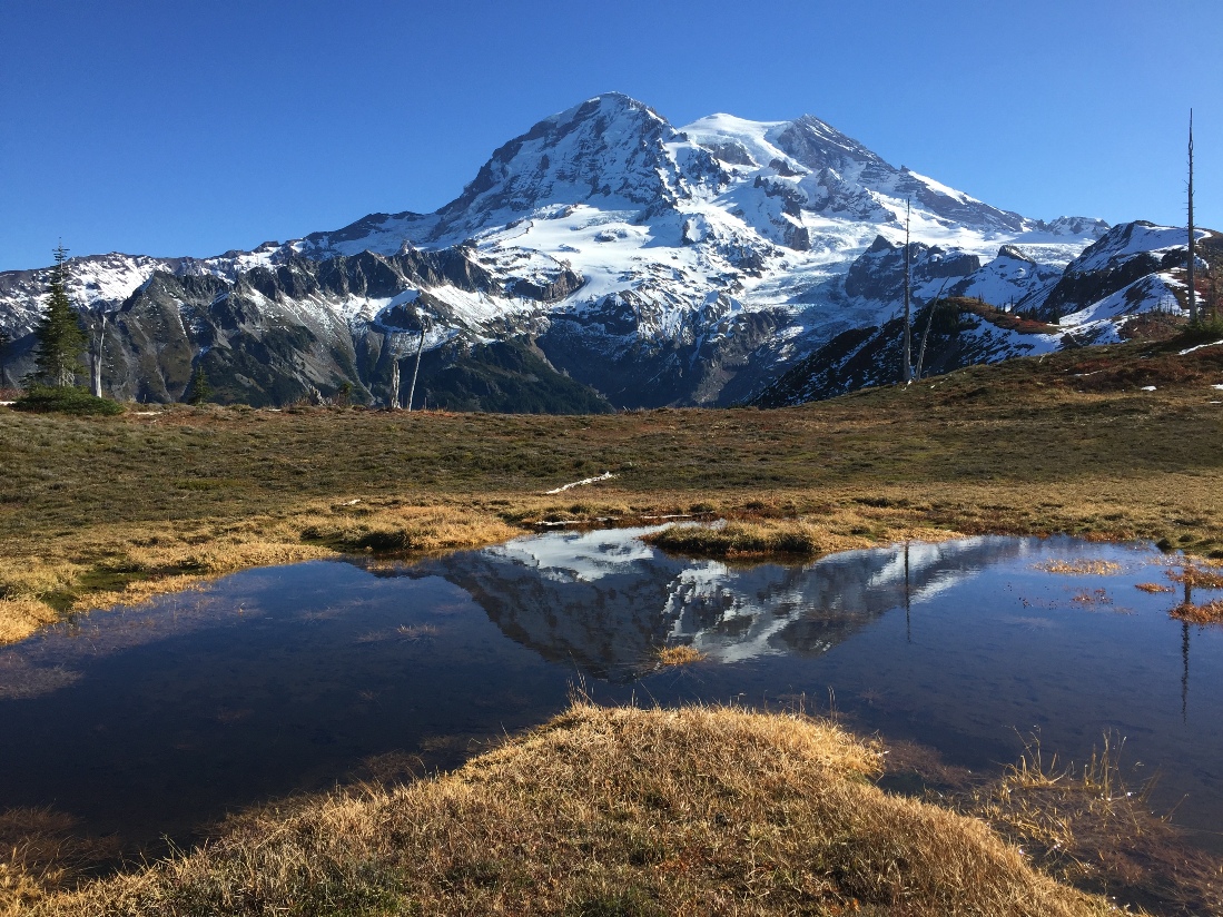 mount rainier