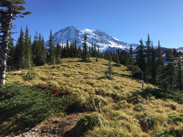 Mt. Rainier 